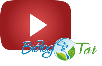 icone-youtube-biologo-tai